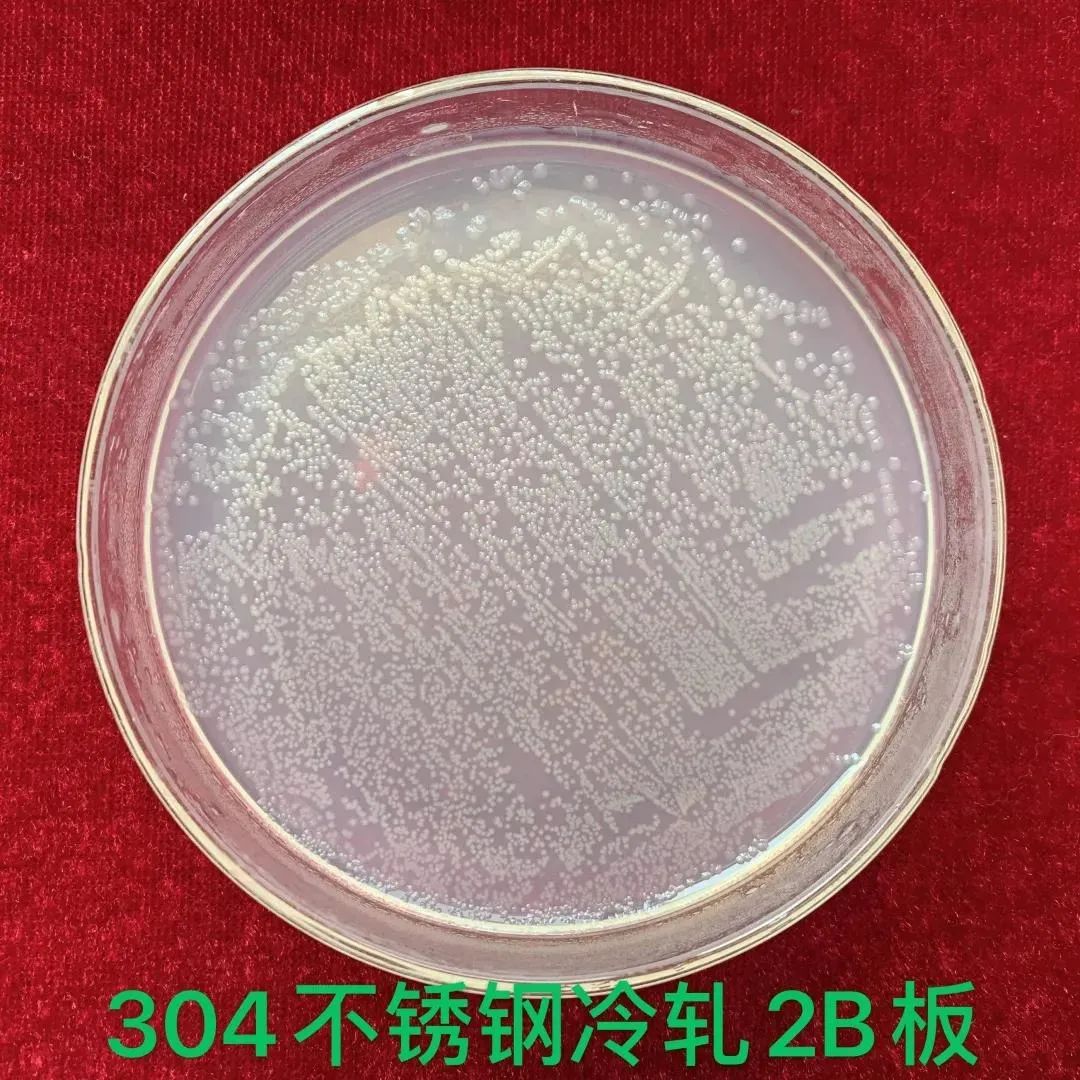 無(wú)錫不銹鋼板價(jià)格,201不銹鋼,無(wú)錫不銹鋼,304不銹鋼板,321不銹鋼板,316L不銹鋼板,無(wú)錫不銹鋼板 無(wú)錫不銹鋼板價(jià)格,201不銹鋼,無(wú)錫不銹鋼,304不銹鋼板,321不銹鋼板,316L不銹鋼板,無(wú)錫不銹鋼板